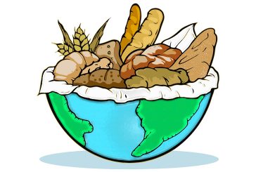 16 de octubre, Día Mundial del Pan