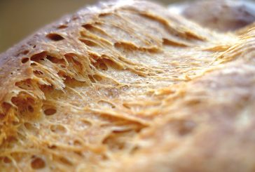 Descubre las características de una buena corteza en el pan