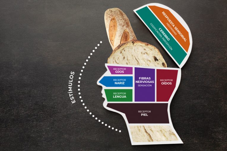 Análisis sensorial del pan