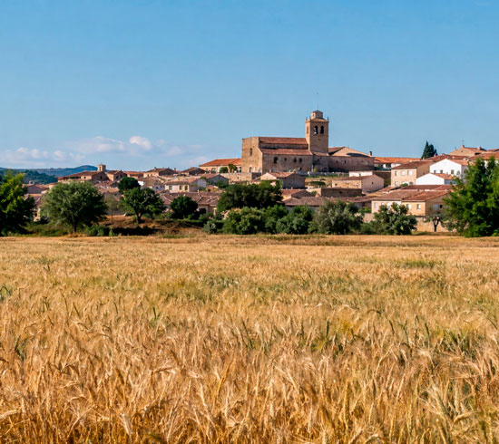 red de ciudades del cereal